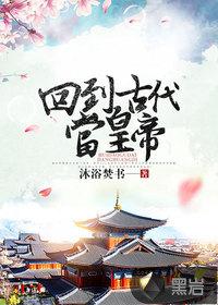 巅峰帝王