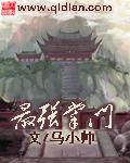 最强掌门养成系统