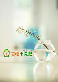 钻石总裁的小妻子