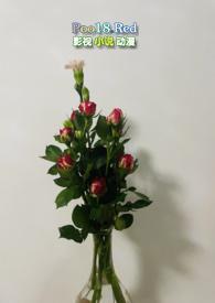 还明伏湿膏多久见效