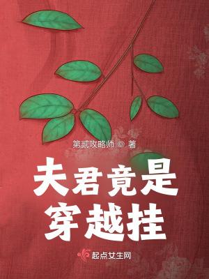 穿越夫君是断袖的