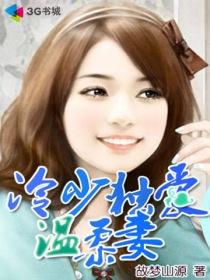冷少的独家甜妻