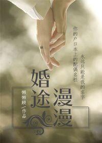 婚途漫漫情似海最新节章