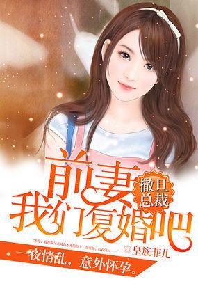 我们复婚吧免费阅读