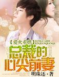 入骨暖婚总裁的心尖前妻