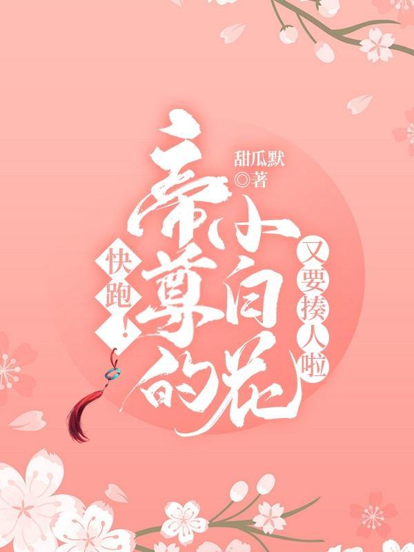 帝小白