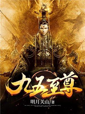 九五至尊白酒多少钱