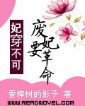 废妃要革命txt