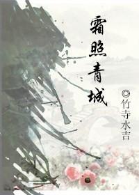 霜照青城文评