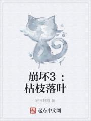 崩坏三所有支线任务