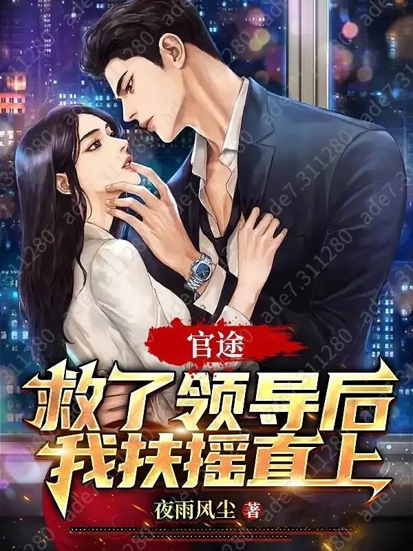官途救了领导后我扶摇直上作者夜雨风尘