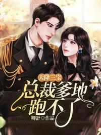 天降三宝总裁爹地跑不了完整版