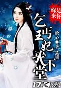 电视剧乞丐王妃全集