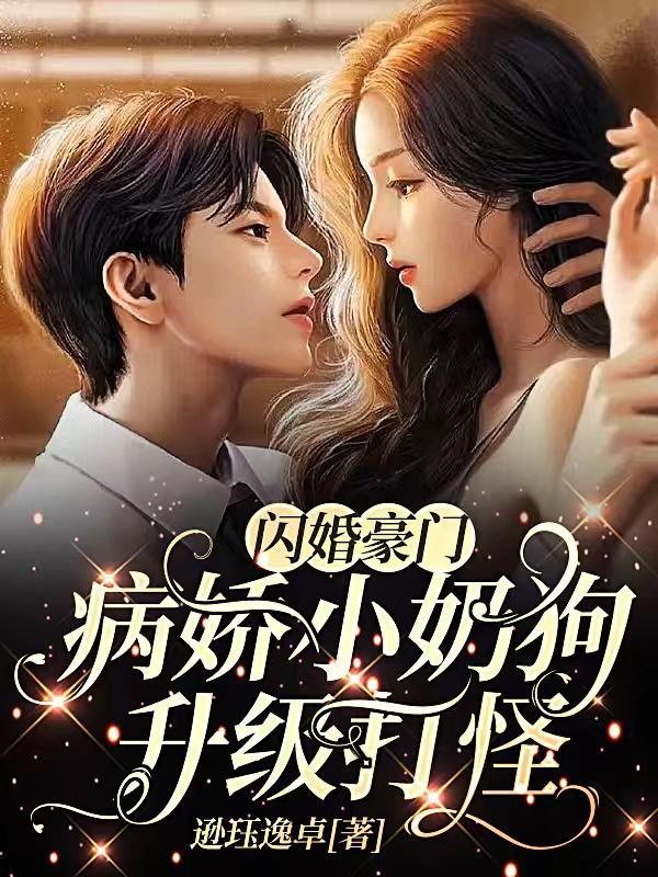 女公务员日记