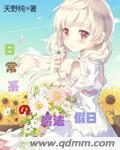 nds 魔法假日