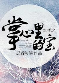 红楼之掌心里的宝笔趣阁