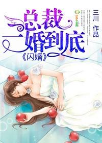 闪婚总裁文
