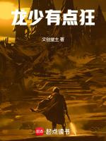 龙少宠妻a又飒