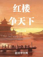 红楼之天下为琪