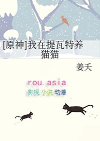 关于我在提瓦特开后宫这件事