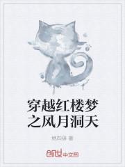 穿越红楼梦全文免费阅读