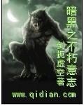 暗黑不朽意志遗志