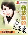 酷总裁的乌龙孕妻 司马青衫