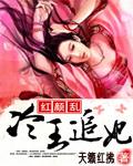 乱世红颜冷王的宠妃