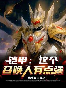 这个铠甲叫什么