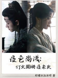 夜色尚浅灯火阑珊夜未央第二记