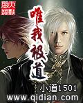 唯我极道txt