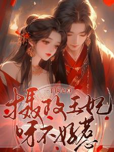 摄政王妃不好惹 双儿