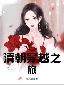 清朝穿越指南免费阅读
