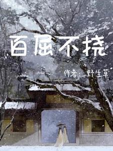 不屈不挠的拼音