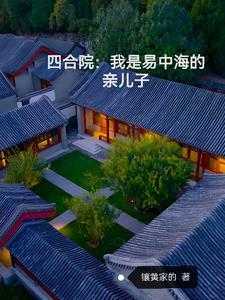 四合院我是易中海的亲儿子易平安镶黄家的