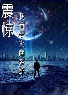 我有一个军火 库