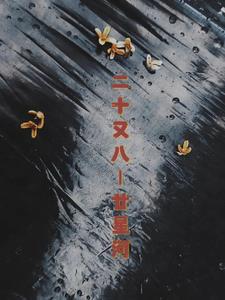 二十又八是什么意思