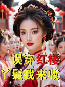 穿越红楼丫鬟谋略