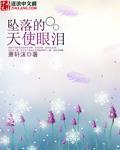 坠落天使叫啥