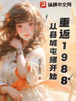 重返1988全文阅读