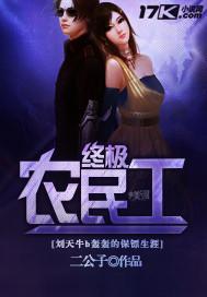 终极小农民txt