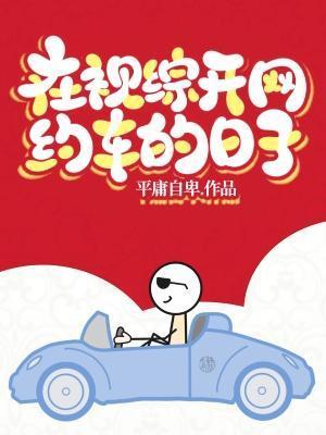 在视综开网约车的日子 平庸自卑