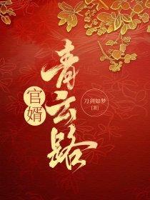 官婿青云路王大勇