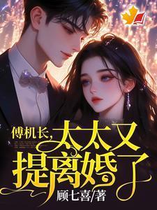 傅机长太太又提离婚了傅霆夜司瑶