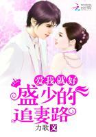 盛少宠妻100式全文免费阅读