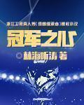 冠军之心txt百度