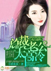 名门婚宠高冷老公很专情
