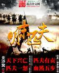 大明匹夫txt
