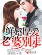 老婆别跑免费阅读全文