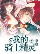 精灵骑士吧